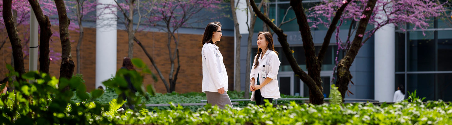 Medical students visit in the Hope Plaza at the center of the Medical Campus