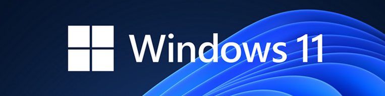 Windows 11